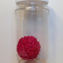 Red Virus Kit – 4