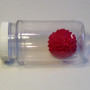 Red Virus Kit – 1