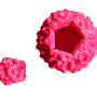 SWR Red Virus02-01