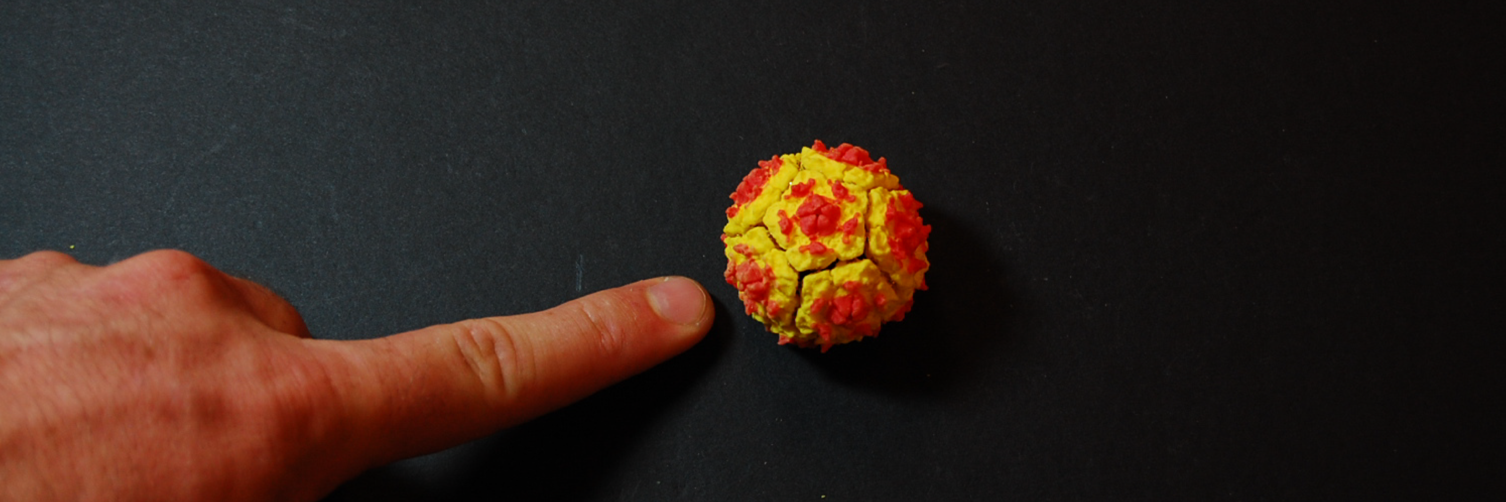 SliderImage_VirusAssembled-01